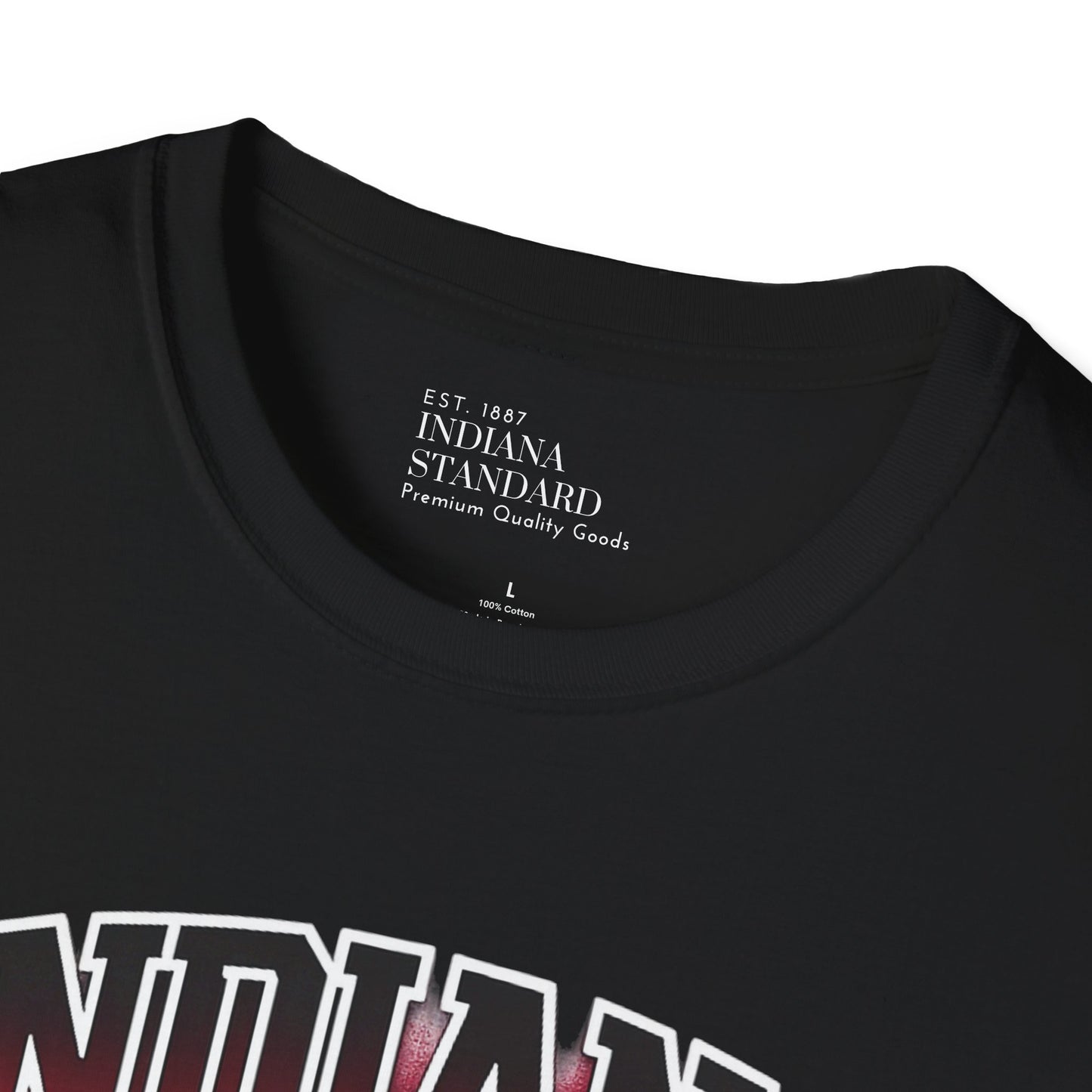 2025 National Champions Softstyle T-Shirt